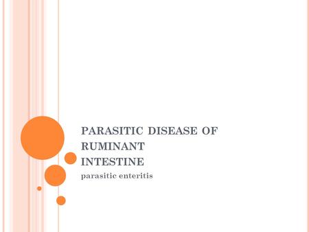 PARASITIC DISEASE OF RUMINANT INTESTINE parasitic enteritis.