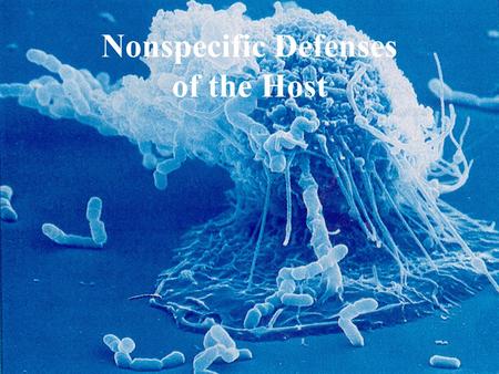 Nonspecific Defenses of the Host. The Immune System Innate (Nonspecific) ImmunityAcquired (Specific) Immunity First line of defense (barriers at the body.