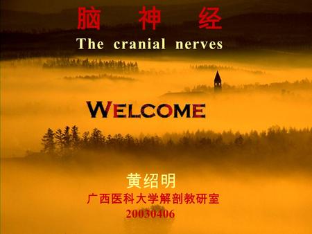 脑神经 The cranial nerves 黄绍明 广西医科大学解剖教研室 20030406.
