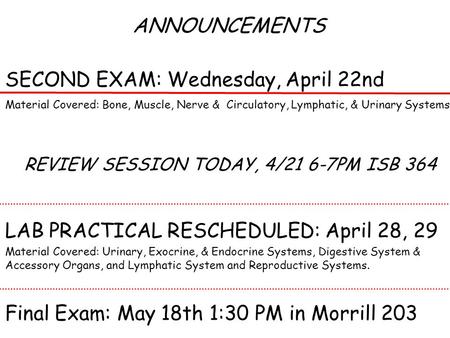ANNOUNCEMENTS SECOND EXAM: Wednesday, April 22nd Material Covered: Bone, Muscle, Nerve & Circulatory, Lymphatic, & Urinary Systems REVIEW SESSION TODAY,