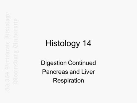 Digestion Continued Pancreas and Liver Respiration
