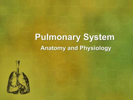 Pulmonary System Anatomy and Physiology