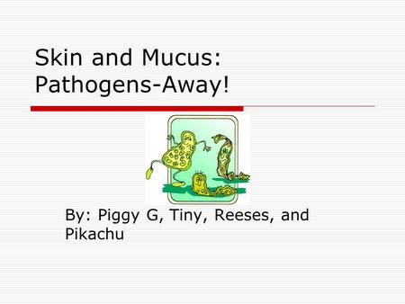 Skin and Mucus: Pathogens-Away! By: Piggy G, Tiny, Reeses, and Pikachu.