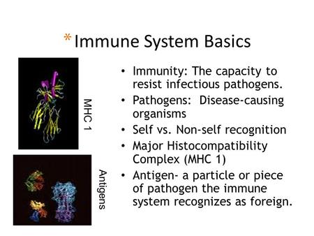 * Immune System Basics Immunity: The capacity to resist infectious pathogens. Pathogens: Disease-causing organisms Self vs. Non-self recognition Major.