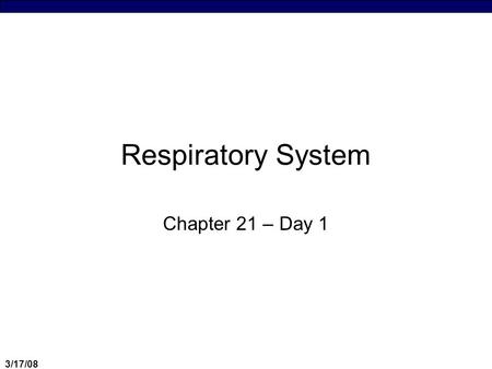3/17/08 Respiratory System Chapter 21 – Day 1. 3/17/08 Respiratory System Overview  Respiratory System Functions  Expulsion of CO 2  External vs. Internal.