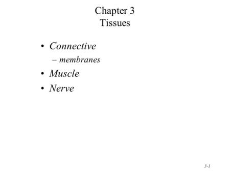 Chapter 3 Tissues Connective membranes Muscle Nerve.