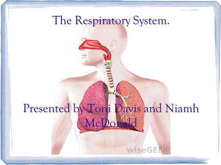 The Respiratory System. Presented by Toni Davis and Niamh McDonald.