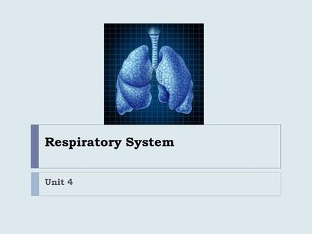 Respiratory System Unit 4.
