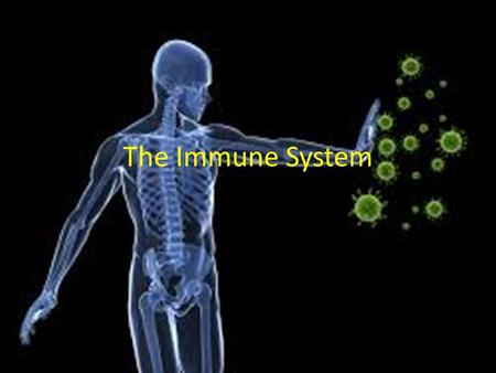 The Immune System. What is the Immune System? Our body’s natural defensive line to foreign material called microbes. Without an immune system, microbes.