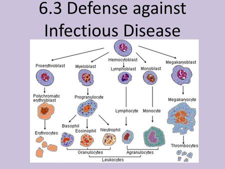 6.3 Defense against Infectious Disease. 6.3 Assessment Statements Define pathogen. Explain why antibiotics are effective against bacteria but not against.