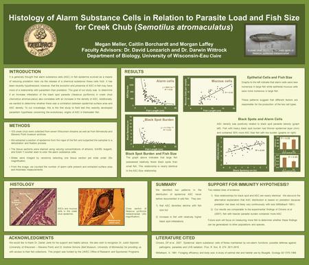 Histology of Alarm Substance Cells in Relation to Parasite Load and Fish Size for Creek Chub (Semotilus atromaculatus) Megan Meller, Caitlin Borchardt.