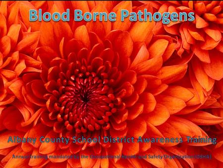 Bloodborne Pathogens awareness training. knowledgeconfidence Power to perform successfully in a real situation.