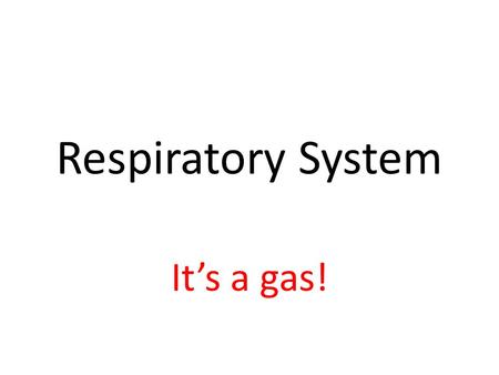 Respiratory System It’s a gas!. Respiratory System Pathway of Air: Nose/mouth Nasal/oral cavities Pharynx *Epiglottis Larynx Trachea Bronchi Bronchioles.