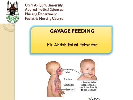GAVAGE FEEDING Ms. Ahdab Faisal Eskandar