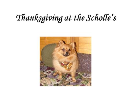 Thanksgiving at the Scholle’s. The year it all blew up…
