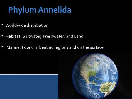 Worldwide distribution. Habitat: Saltwater, Freshwater, and Land. Marine. Found in benthic regions and on the surface.
