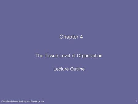 The Tissue Level of Organization Lecture Outline