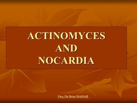 ACTINOMYCES AND NOCARDIA