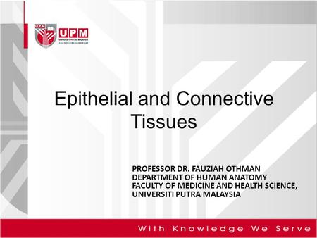 Epithelial and Connective Tissues PROFESSOR DR. FAUZIAH OTHMAN DEPARTMENT OF HUMAN ANATOMY FACULTY OF MEDICINE AND HEALTH SCIENCE, UNIVERSITI PUTRA MALAYSIA.