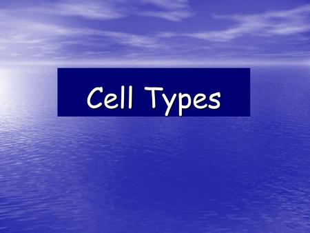 Cell Types.