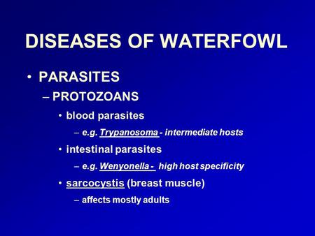 DISEASES OF WATERFOWL PARASITES –PROTOZOANS blood parasites –e.g. Trypanosoma - intermediate hosts intestinal parasites –e.g. Wenyonella - high host specificity.