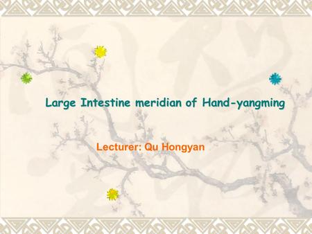 Lecturer: Qu Hongyan Large Intestine meridian of Hand-yangming.