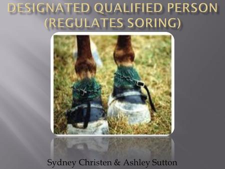 Sydney Christen & Ashley Sutton. Soring involves the intentional infliction of pain to a horse's legs or hooves in order to force the horse to perform.