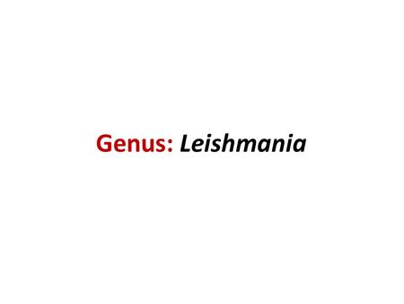 Genus: Leishmania. Sand fly General characters of genus Leishmania Life cycle is indirect and completed in tow hosts, vertebrate (human, dog, rodent)