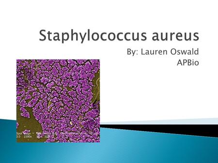 By: Lauren Oswald APBio.  Genus: Staphylococcus  Species: aureus  Domain: Bacteria  Kingdom: Eubacteria  Phylum: Firmicutes  Class: Bacilli  Order: