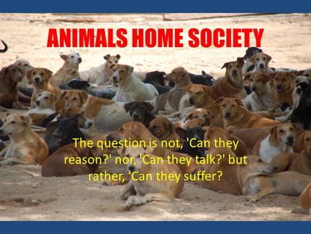 ANIMALS HOME SOCIETY The question is not, 'Can they reason?' nor, 'Can they talk?' but rather, 'Can they suffer?