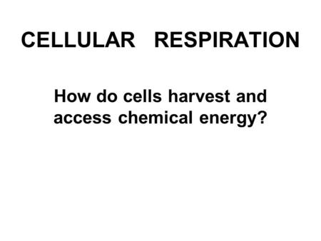 CELLULAR RESPIRATION How do cells harvest and access chemical energy?