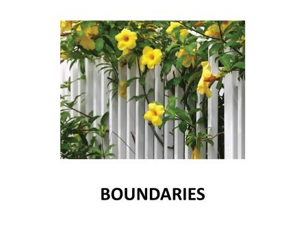 BOUNDARIES. A Definition “Boundaries are norms, rules or codes that characterize an individual’s personal space or environment and his or her sense of.
