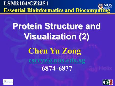 LSM2104/CZ2251 Essential Bioinformatics and Biocomputing Essential Bioinformatics and Biocomputing Protein Structure and Visualization (2) Chen Yu Zong.