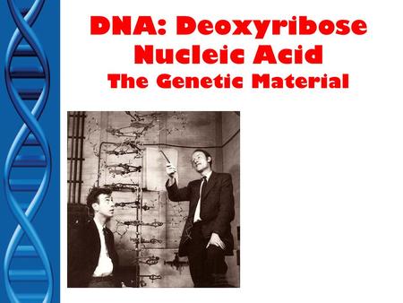 DNA: Deoxyribose Nucleic Acid The Genetic Material.