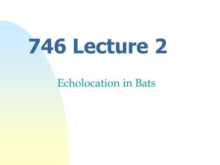 746 Lecture 2 Echolocation in Bats. Aim nOutline properties of sound nHunting behaviour of bats nTypes of Echolocation sounds nSpecialisation of u Ear.