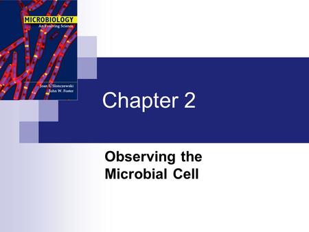 Observing the Microbial Cell