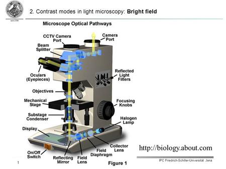 IPC Friedrich-Schiller-Universität Jena 1  2. Contrast modes in light microscopy: Bright field.