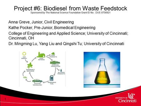 Project #6: Biodiesel from Waste Feedstock Sponsored by The National Science Foundation Grant ID No.: DUE-0756921 Anna Greve, Junior, Civil Engineering.