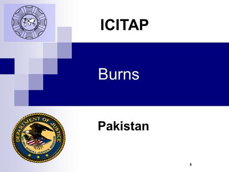 1 Burns Pakistan ICITAP. Learning Objectives Understand different types of burns Learn to identify degrees of burns Know First Aid treatment for burns.