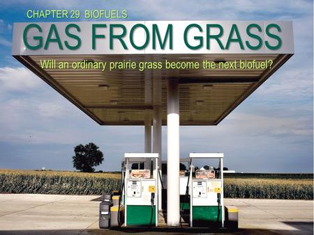 GAS FROM GRASS Will an ordinary prairie grass become the next biofuel? CHAPTER 29 BIOFUELS.