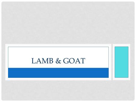LAMB & GOAT. VOCABULARY Apparel wool : a fine wool used in making clothing Buck: a male in such species as goats, deer, rabbits, etc. Cabrito: the meat.