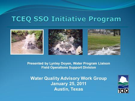 Presented by Lynley Doyen, Water Program Liaison Field Operations Support Division Water Quality Advisory Work Group January 25, 2011 Austin, Texas.