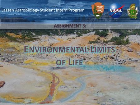 Lassen Astrobiology Student Intern Program. As we discussed in the previous lectures, the tree of life is a way of grouping organisms based on how similar.
