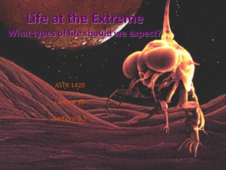 Life at the Extreme What types of life should we expect? ASTR 1420 Lecture 10 Sections 5.5.