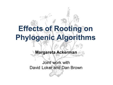 Effects of Rooting on Phylogenic Algorithms Margareta Ackerman Joint work with David Loker and Dan Brown.