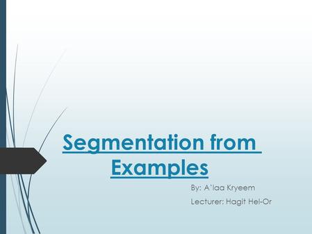 Segmentation from Examples By: A’laa Kryeem Lecturer: Hagit Hel-Or.