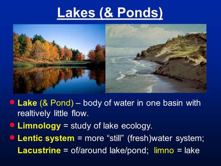 Lakes (& Ponds)  Lake (& Pond) – body of water in one basin with realtively little flow.  Limnology = study of lake ecology.  Lentic system = more “still”