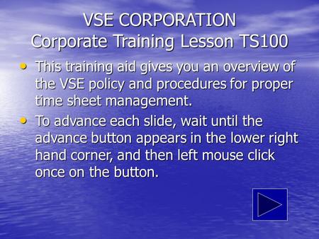 VSE CORPORATION Corporate Training Lesson TS100 This training aid gives you an overview of the VSE policy and procedures for proper time sheet management.