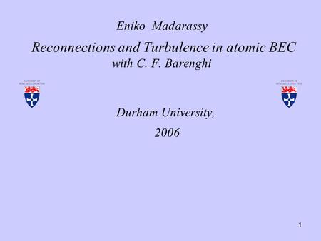 1 Eniko Madarassy Reconnections and Turbulence in atomic BEC with C. F. Barenghi Durham University, 2006.