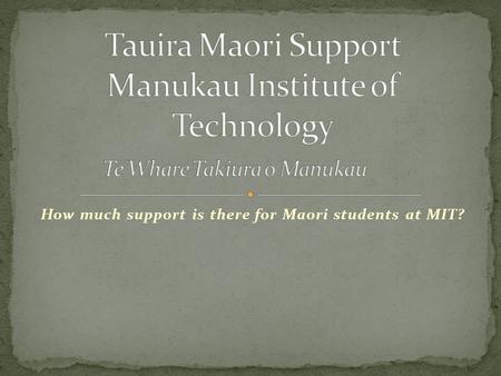 How much support is there for Maori students at MIT?